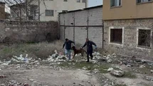 Kayseri'de Köpek Saldırısı Olayı