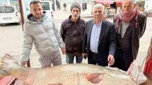 Diyarbakır’da Dev Turna Balığı Satışı