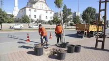 Mersin’de ağaçlandırma seferberliği başladı