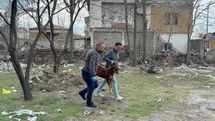 Kayseri'de Köpek Saldırısı Olayı