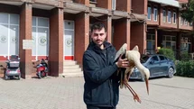 Bilecik'te Yaralı Leylek Kurtarıldı