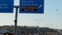 Kuşadası'nda Leylekler Yeniden Yuva Kurdu
