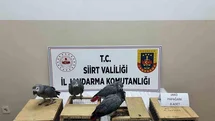 Siirt'te Kaçak Jako Papağan Ele Geçirildi