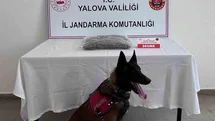 Yalova'da Uyuşturucu Operasyonu Gerçekleşti