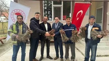 Emet'te Üzüm Fidanı Dağıtımı Yapıldı
