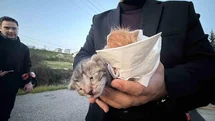 Düzce'de Küçük Kızın Duyarlılığıyla İki Kedi Kurtarıldı