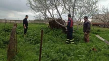 Mardin'de İneği Kuyuya Düşen İtfaiye Kurtardı