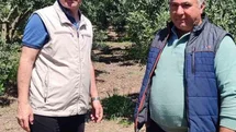 Didim'de Zeytin Üreticilerine Uyarı