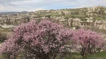 Kapadokya Baharda Canlandı