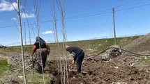 Ağrı’da vatandaşlar imece usulü fidan dikerek geleceğe nefes oluyor
