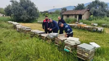 Aydın’da ana arı üretim kovanları denetlendi