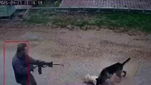Kavga eden sokak köpeklerine tüfekle ateş edip bir köpeği öldürdü
