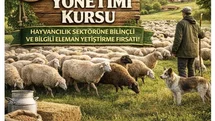Karacasu'da Sürü Yönetimi Kursu Başlıyor
