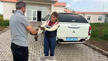 Diyarbakır'da Yaralı Şahin Tedavi Edildi