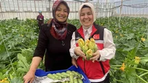 Kadın Çiftçinin Başarılı Hikayesi