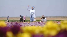 Karaman’da lale tarlasına ziyaretçi akını: 2 günde 30 bin kişi gezdi