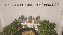 Pendik’te uyuşturucu operasyonu: 10 kilo marihuana ele geçirildi