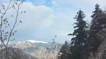 Artvin'de Yaralı Vatandaş Helikopterle Kurtarıldı