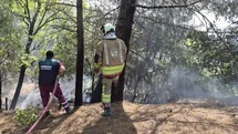İskenderun’da orman yangını kontrol altına alındı
