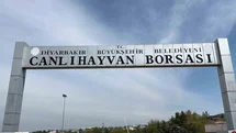 Diyarbakır Canlı Hayvan Borsası tadilata alındı