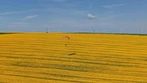 Tekirdağ’da sarı şölen: Paramotorlar sarı tarlaları gezdi