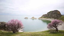Baharın Renkleri Van Gölü'nde Açtı