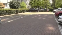 Beylikdüzü’nde Başka Köpekler Vatandaşı Kovaladı