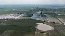 Adana'da Tarım Arazileri Zarar Gördü