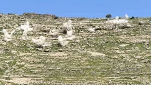 AFAD’dan Şırnak’ta güvenlik hamlesi: Riskli kayalar tek tek patlatıldı