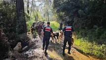 Antalya'da Kaybolan 41 Keçi Bulundu