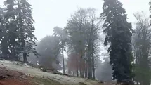 Düzce'de Mayıs Ayında Kar Yağdı