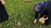 Ağrı’da kadınlar bahar otlarını topluyor