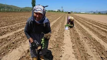 Aydın'da İşçi Bayramı Farklı Geçti
