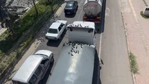 Kırmızı ışıkla birlikte kumruların ziyafeti başlıyor