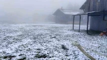 Sakarya'da Kar Yağışı Etkili Oldu