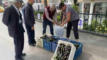 Antalya'da Patlıcan Dağıtımı