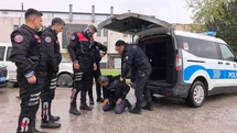 Ehliyetsiz Motosiklet Sürücüsü Biber Gazı Yedi