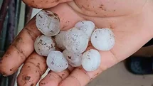 Araban'da Dolu Yağışı Panik Yarattı