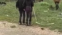 Elazığ'da Minik Çobanların Halay Eğlencesi