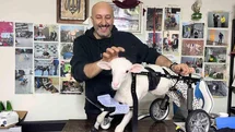 Demir Ustası Felçli Hayvanlara Umut Oluyor