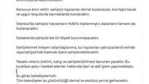 İstanbul'da Sahipsiz Hayvan Toplama Süreci Devam Ediyor