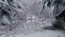 Bolu'da Sürpriz Kar Yağışı