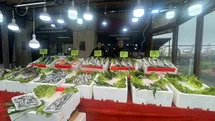 Alaplı'da Mezgit Fiyatları Yükseldi