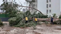 Birecik’te afetin yaraları sarılıyor