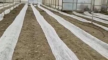Don Uyarısına Karşı Tül Önlemi