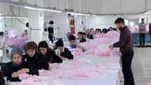 İstanbul'dan Köye Dönüş Projesi