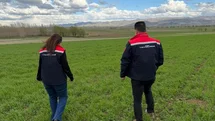Aydıntepe'de Hububat Kontrolü Yapıldı