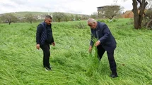Gaziantep'te Süper Hücre Zarara Yol Açtı
