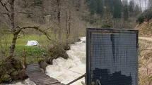 Böylesi ancak Karadeniz’de olur
