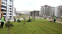 Elazığ'da Yeşil Alan Çalışmaları Devam Ediyor
